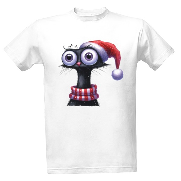 Kočka v santově čepici